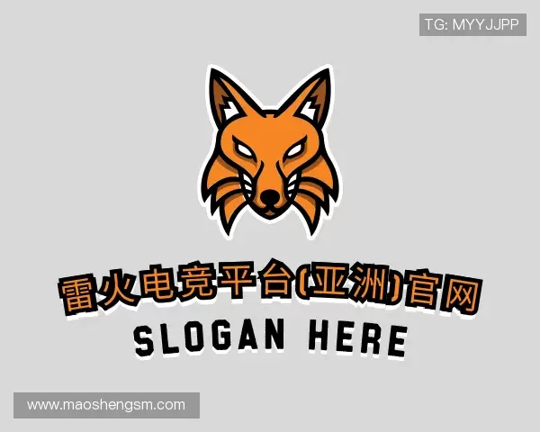 了解雷火电竞平台(亚洲)官网