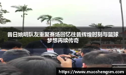 昔日姚明队友重聚赛场回忆往昔辉煌时刻与篮球梦想再续传奇