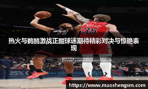 热火与鹈鹄激战正酣球迷期待精彩对决与惊艳表现
