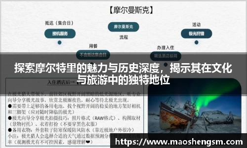 U8国际有限公司